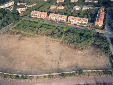 Imatge a&egrave;ria de la pineda sobre la que es construir&agrave; l'escola de Gav&agrave; Mar